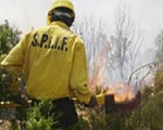 El incendio afecta a más de 150 hectáreas trabajan dotaciones de bomberos de San Martín y Junín de los Andes, Aluminé, y 32 Brigadistas de PMF, además de Parques Nacionales y los 20 Brigadistas de SPLIF.